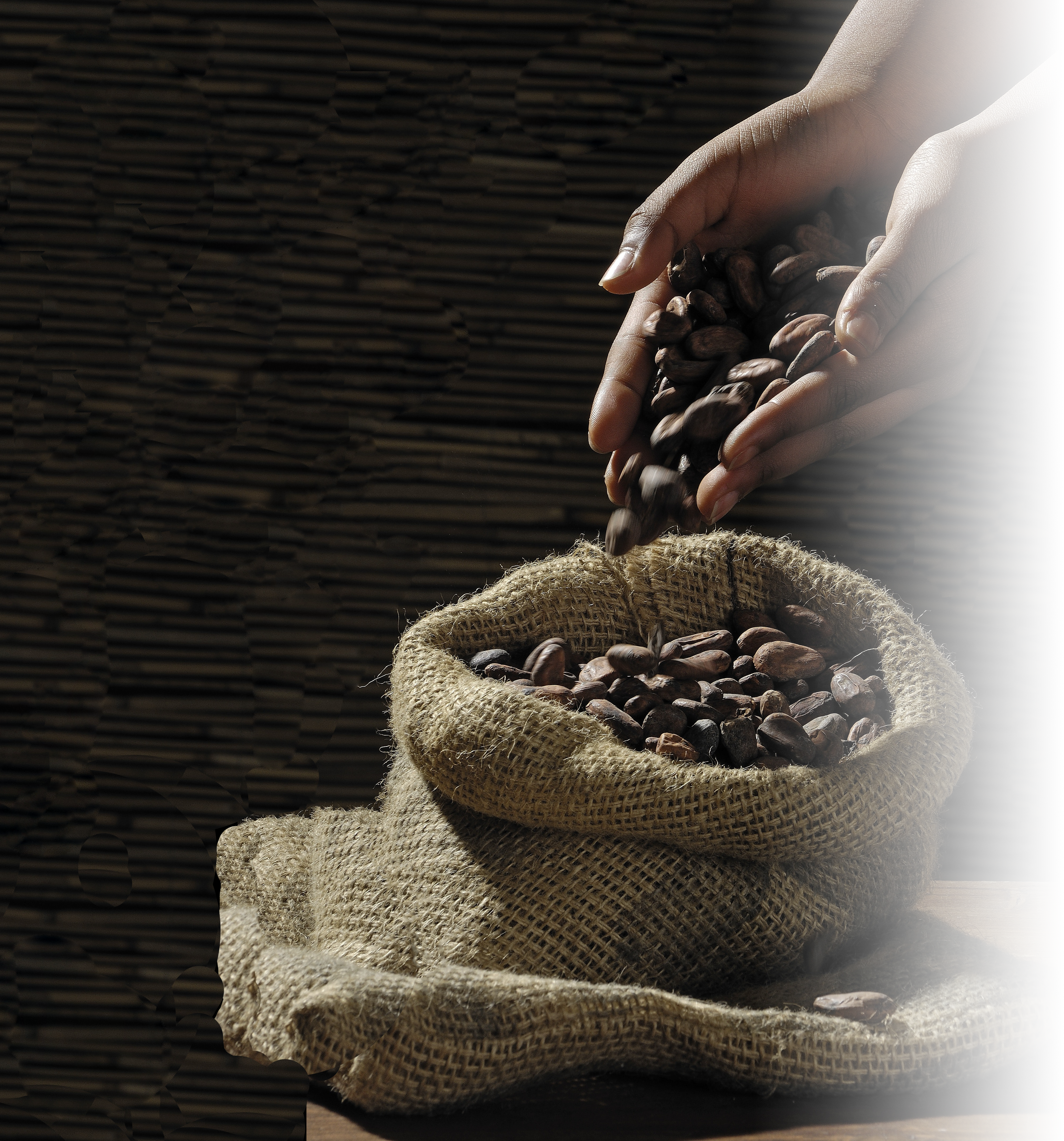 coffee beans